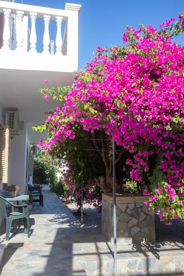 Flowers Studios Скала Экстерьер фото